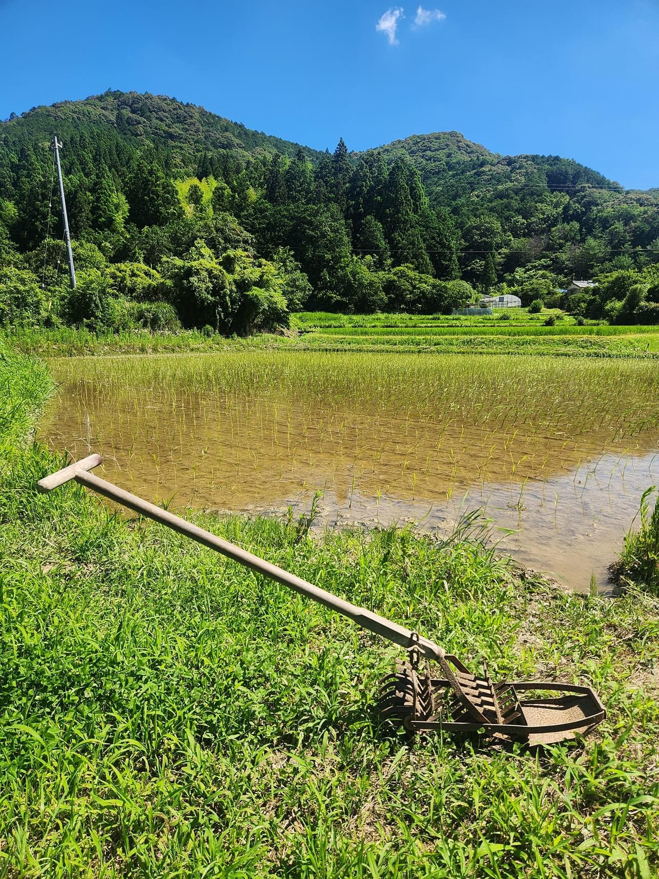 山あいに広がる、水をはった田んぼの風景