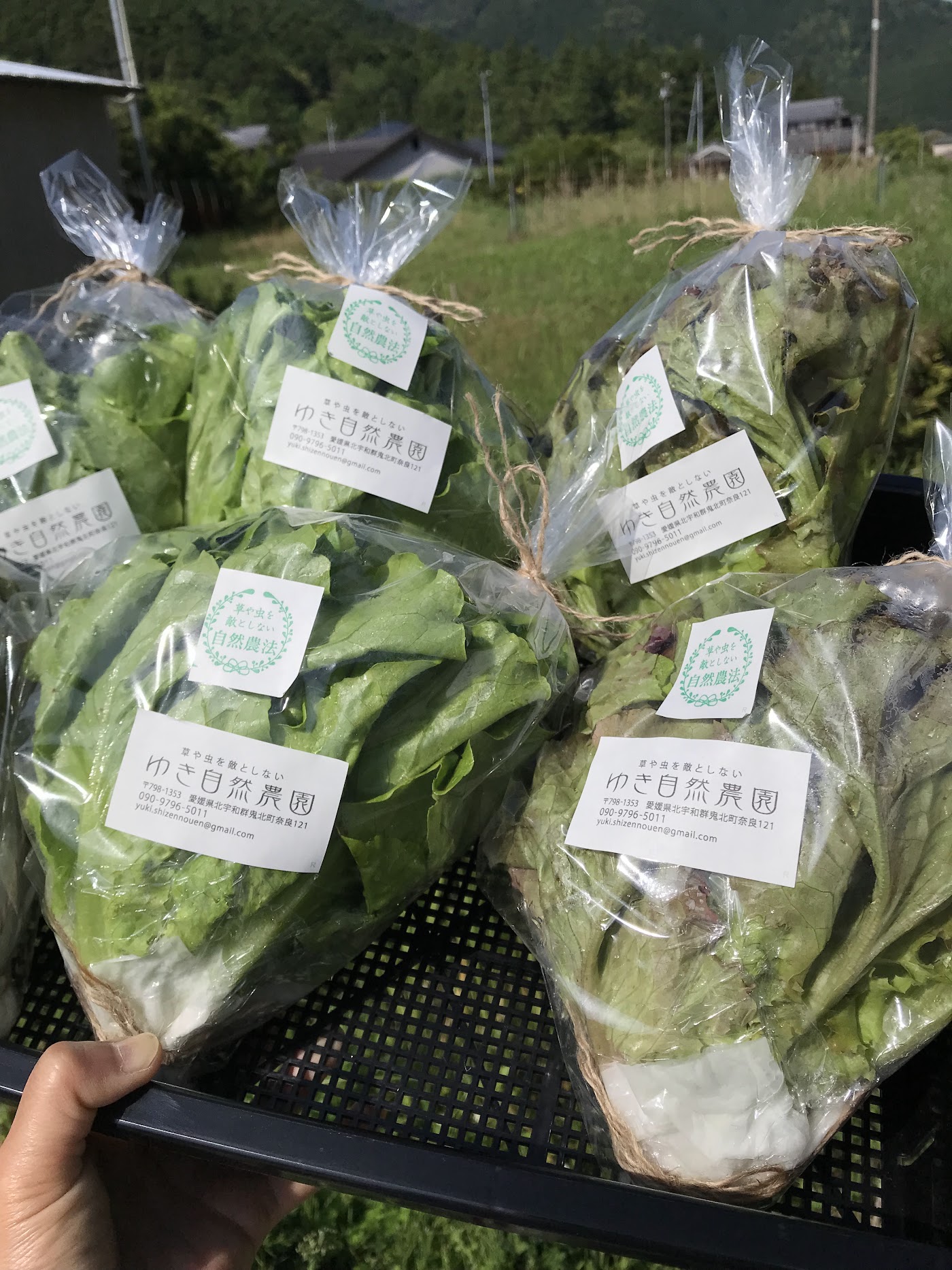 ゆき自然農園のラベル付き野菜袋