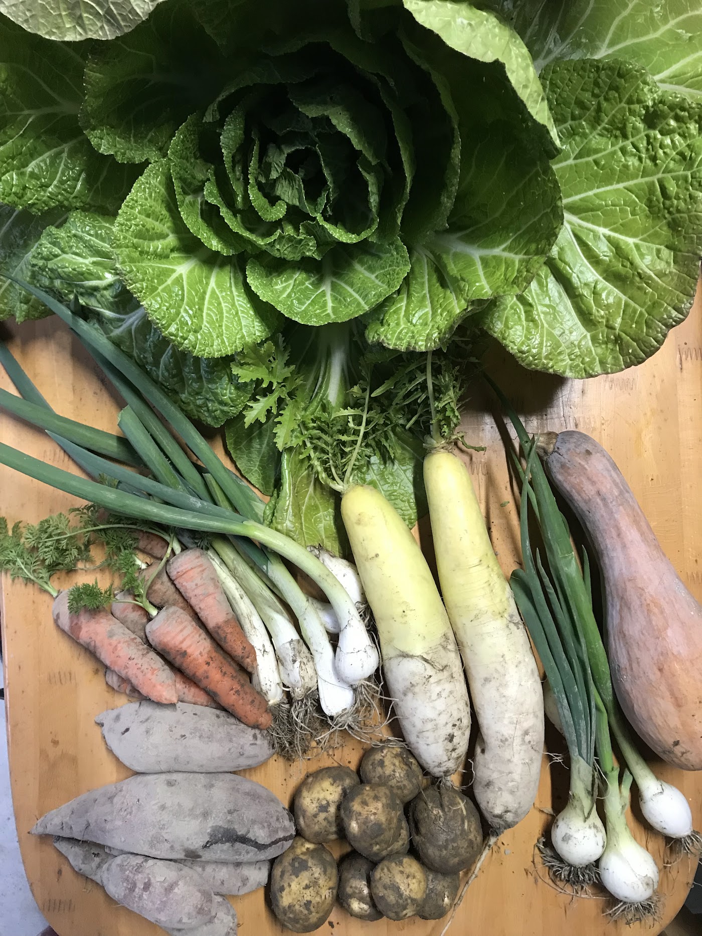 白菜や大根など野菜の盛り合わせ