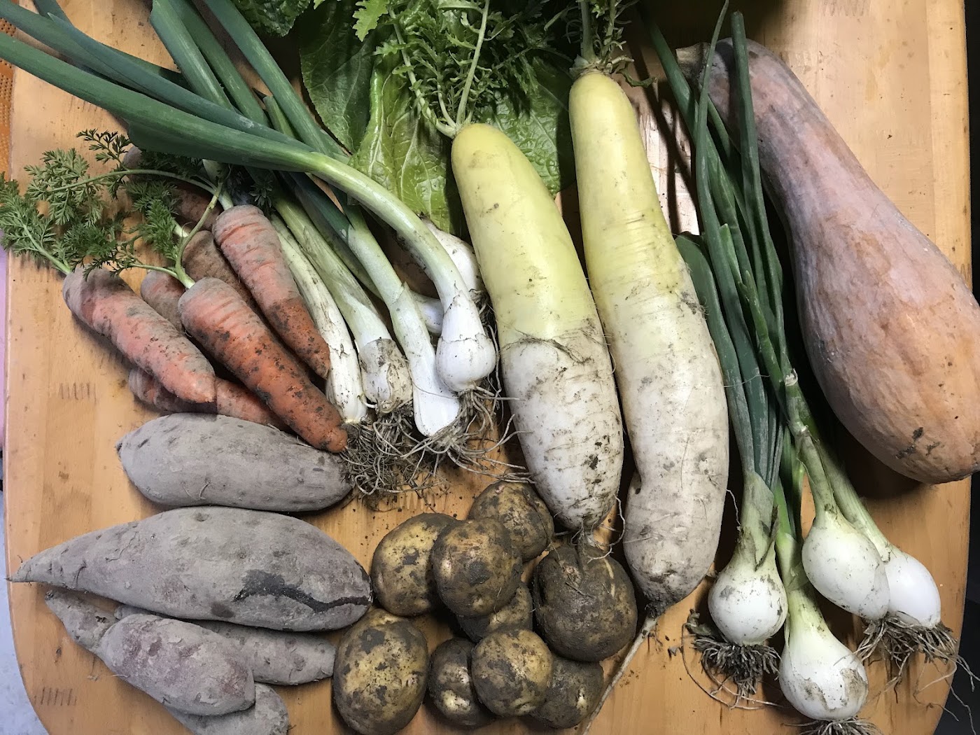 大根・にんじん・ねぎなど冬野菜の詰め合わせ