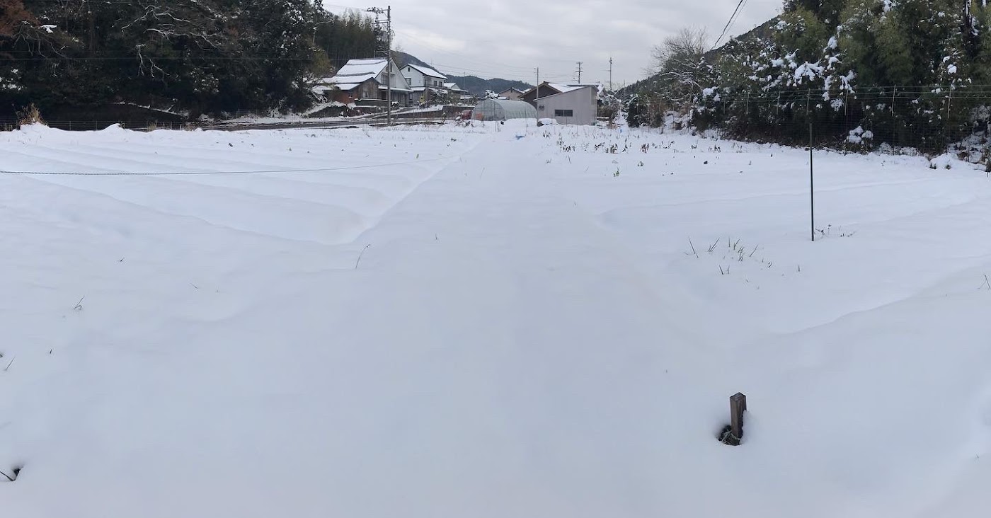 一面の雪に覆われた畑